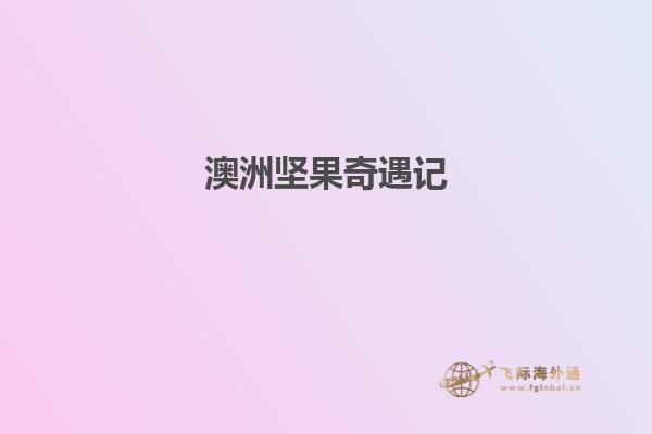 澳洲坚果奇遇记