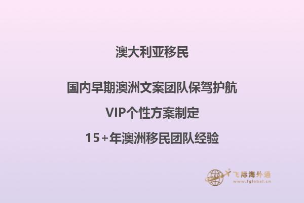 澳洲雇主担保移民的配偶签证性质怎么填