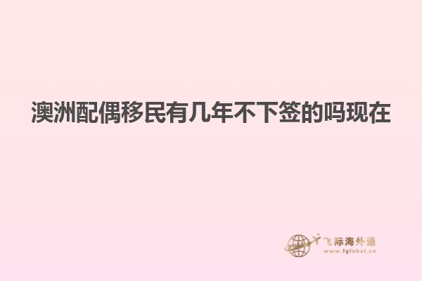 澳洲配偶移民有几年不下签的吗现在