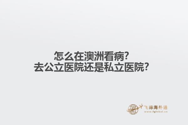 怎么在澳洲看病？去公立医院还是私立医院？