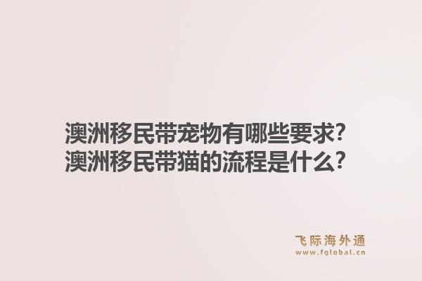澳洲移民带宠物有哪些要求？澳洲移民带猫的流程是什么？1.jpg
