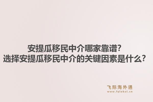 安提瓜移民中介哪家靠谱?选择安提瓜移民中介的关键因素是什么?1.jpg