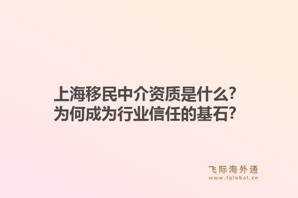 上海移民中介资质是什么？为何成为行业信任的基石？