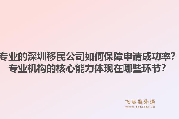 专业的深圳移民公司如何保障申请成功率？专业机构的核心能力体现在哪些环节？