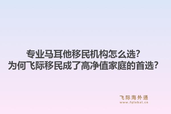 专业马耳他移民机构怎么选？为何飞际移民成了高净值家庭的首选？