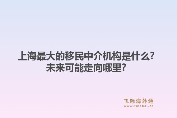 上海最大的移民中介机构是什么？未来可能走向哪里？