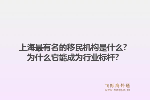 上海最有名的移民机构是什么？为什么它能成为行业标杆？