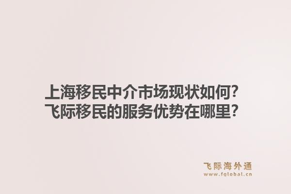 上海移民中介市场现状如何？飞际移民的服务优势在哪里？
