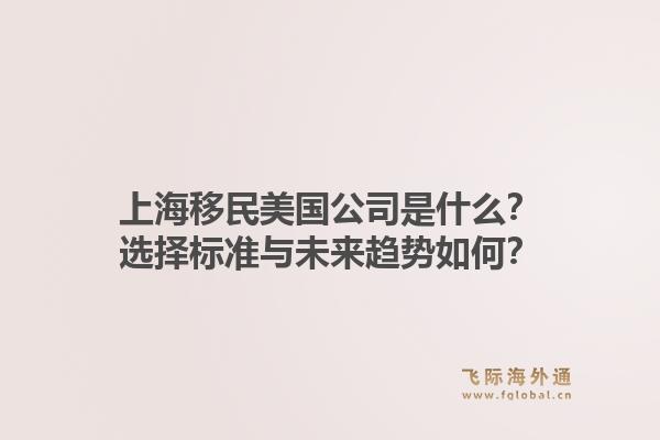 上海移民美国公司是什么？选择标准与未来趋势如何？