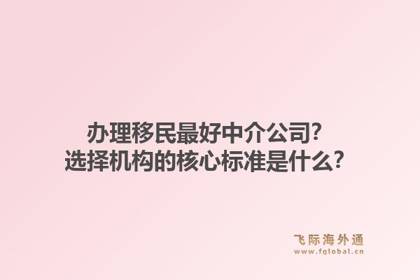 办理移民最好中介公司？选择机构的核心标准是什么？